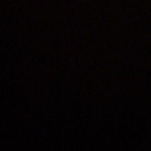 Meet your Posher, Dalilah